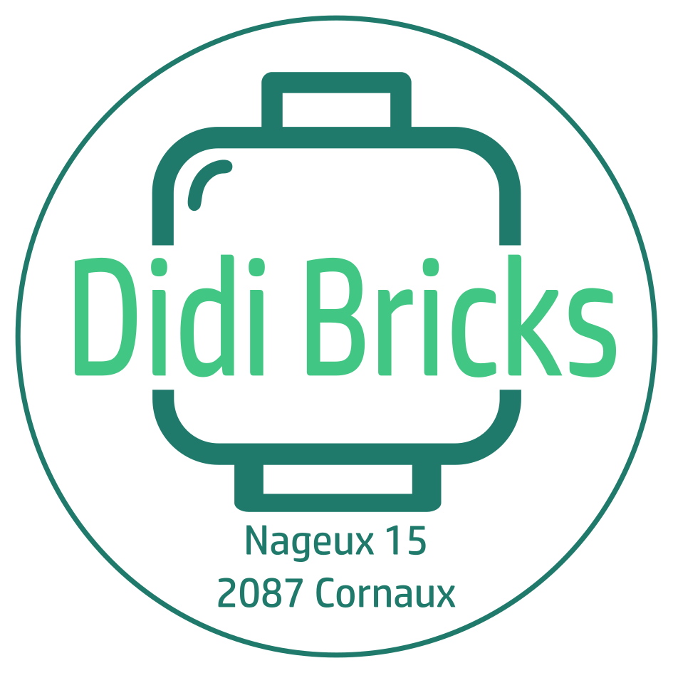 Didi Bricks Logo